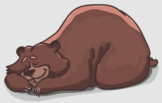 Bjørnen Sover