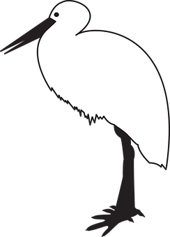 Stork Stork Langeben