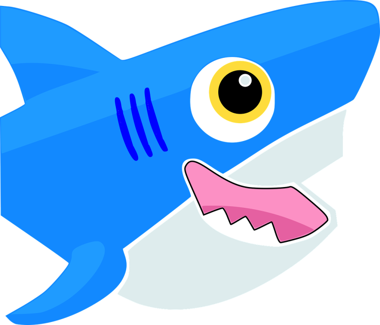 Baby Haj (Baby shark)